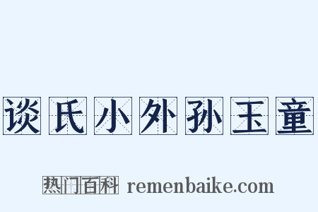 谈氏小外孙玉童是什么意思的图片